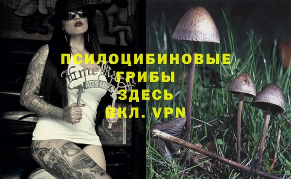 винт Козловка