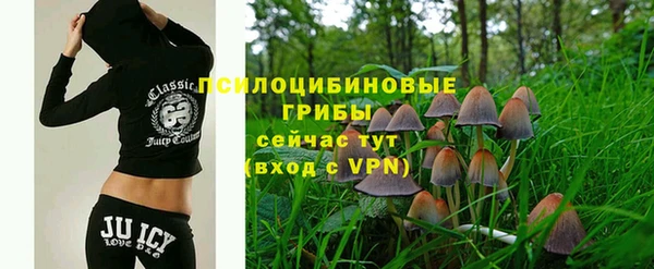 ECSTASY Алексин