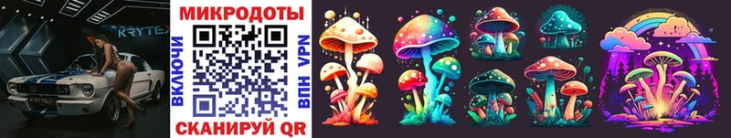 Псилоцибиновые грибы Psilocybine cubensis  Тында 
